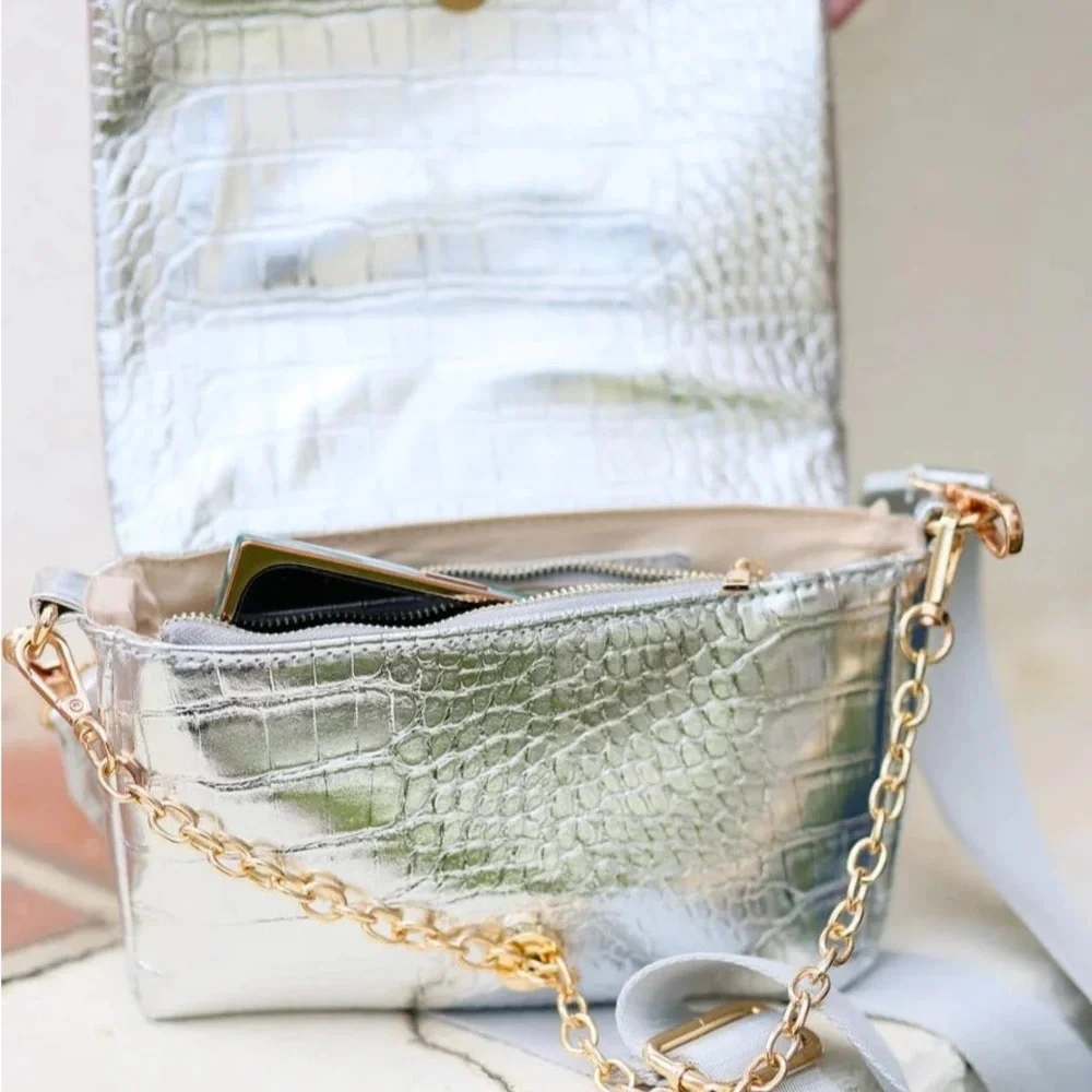 Caroline Hill Dakota Platinum Crossbody ntw - Picture 2 of 7
